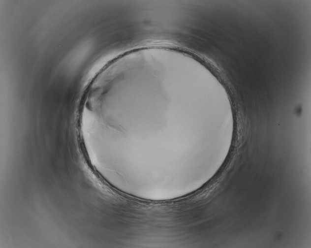 X0000114581422200911301324