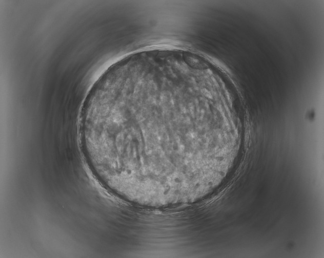 X0000114581423200911301324