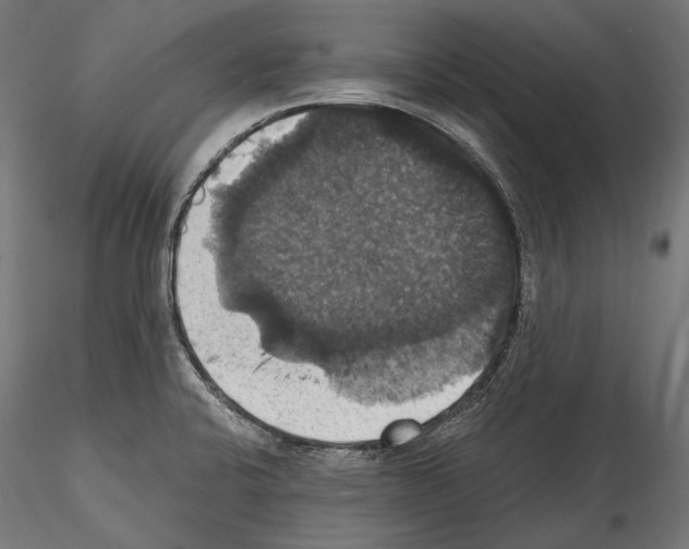 X0000114581424200911301324