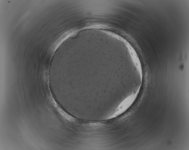 X0000114581425200911301324