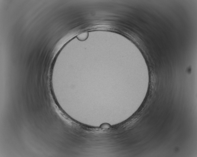 X0000114581426200911301324