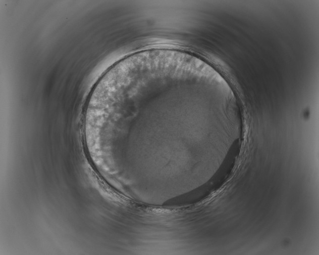 X0000114581427200911301324