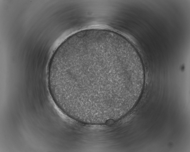 X0000114581430200911301324