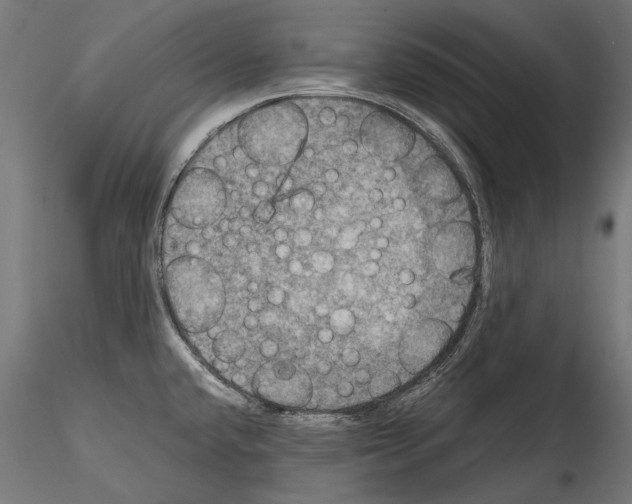 X0000114581432200911301324