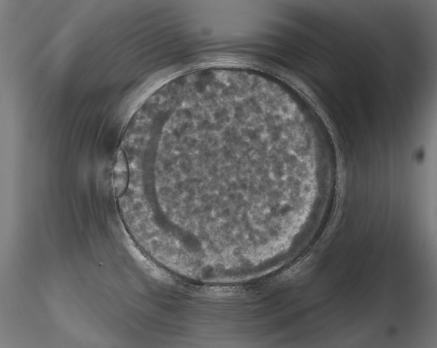 X0000114581433200911301324