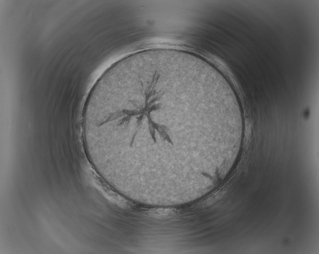 X0000114581435200911301324