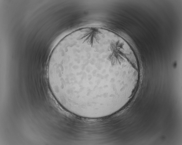 X0000114581436200911301324