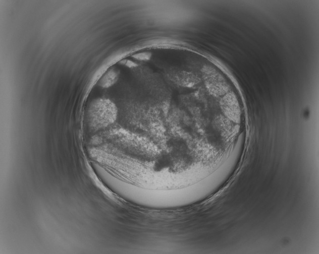 X0000114581437200911301324