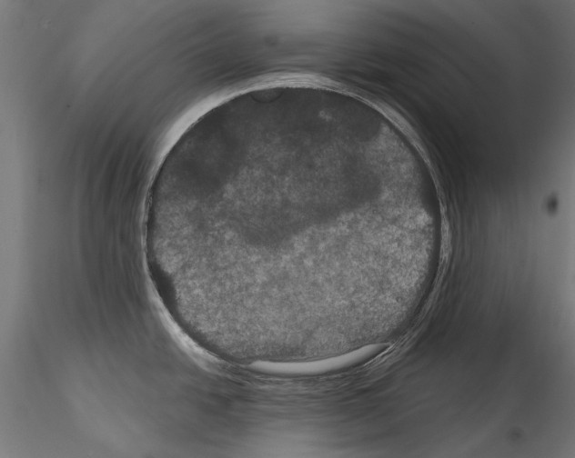 X0000114581438200911301324