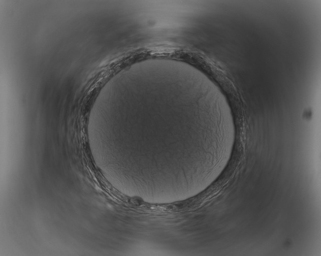 X0000114581445200911301323