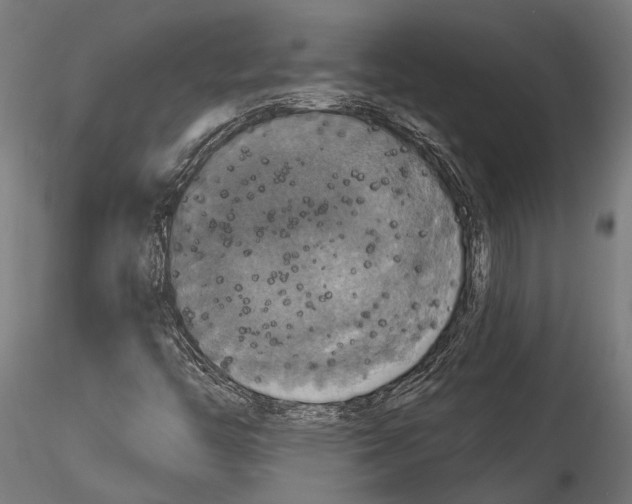 X0000114581446200911301323