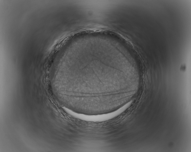 X0000114581447200911301323