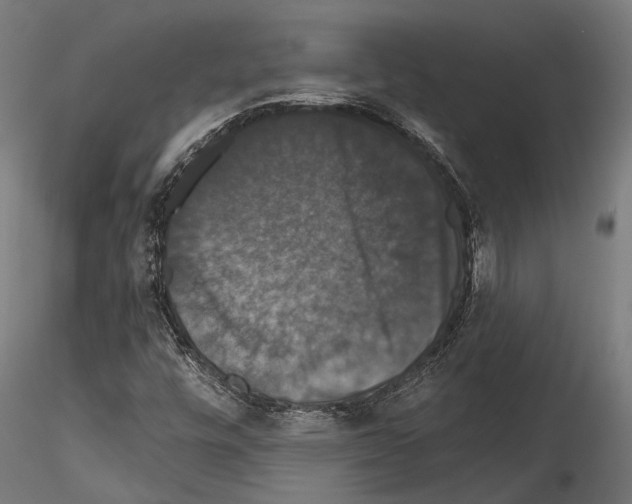 X0000114581448200911301323