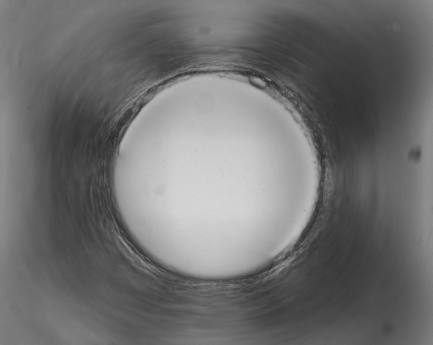 X0000114581449200911301323