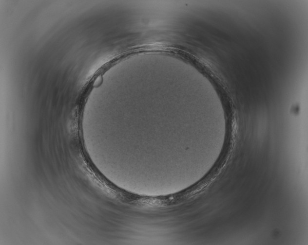 X0000114581450200911301323