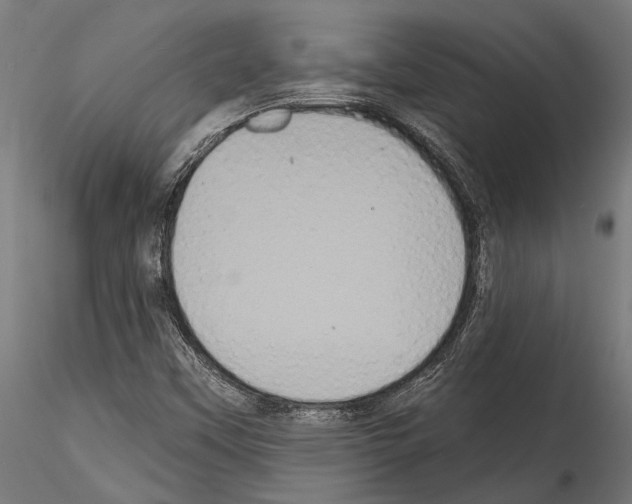 X0000114581451200911301323