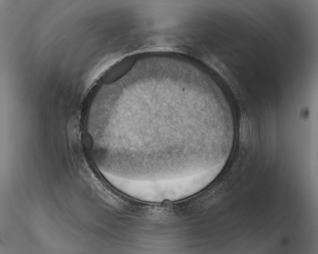 X0000114581452200911301323