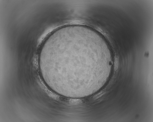 X0000114581454200911301323