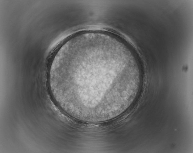 X0000114581456200911301323