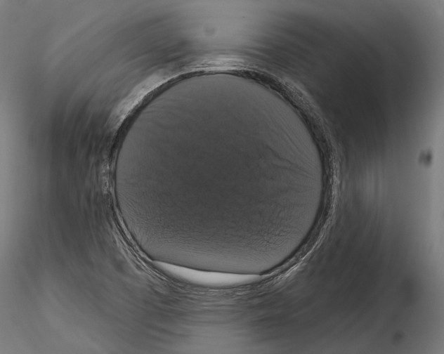 X0000114581457200911301323