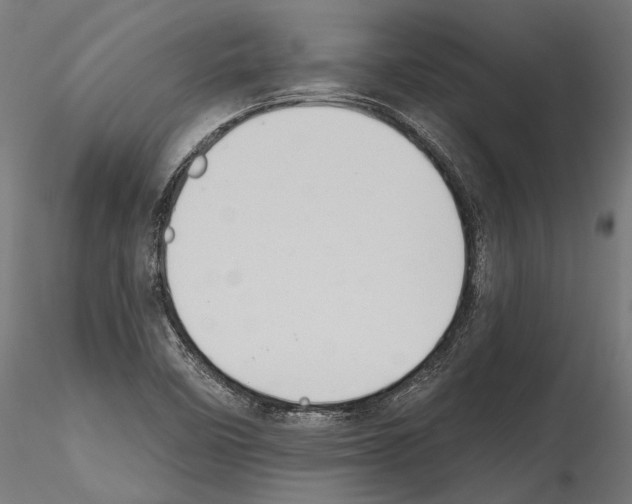 X0000114581458200911301323