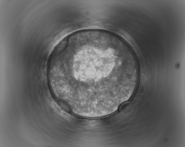 X0000114581460200911301323