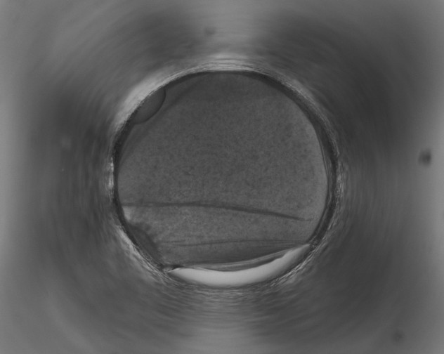 X0000114581461200911301323