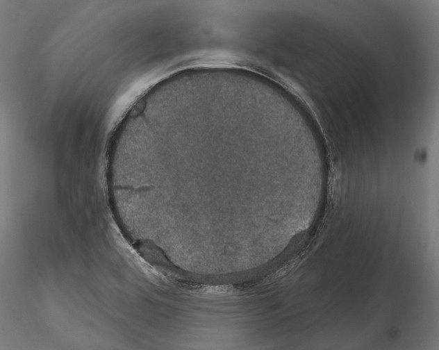 X0000114581464200911301323