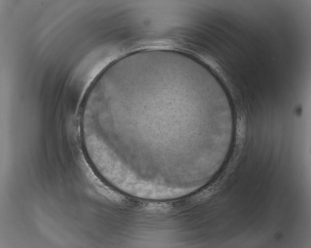 X0000114581466200911301323