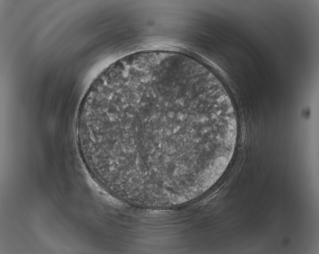 X0000114581471200911301323