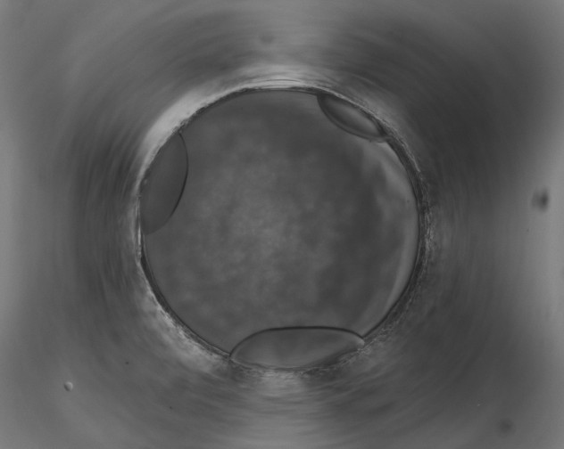 X0000114581472200911301323