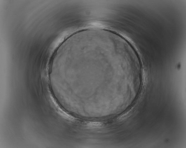 X0000114581477200911301323