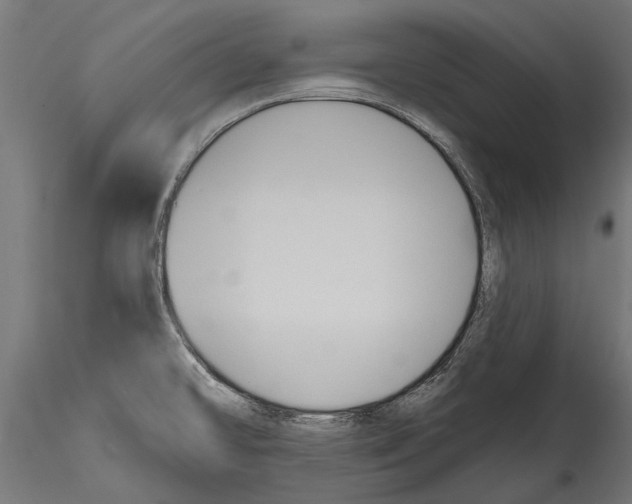 X0000114581478200911301323