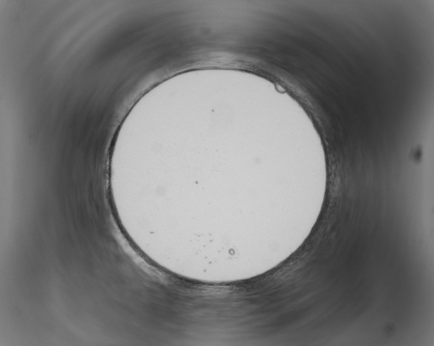 X0000114581479200911301323