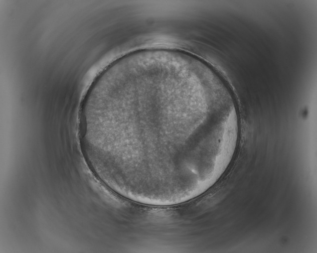 X0000114581480200911301323