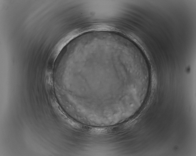 X0000114581481200911301323