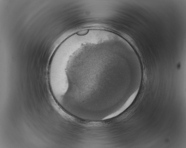 X0000114581482200911301323