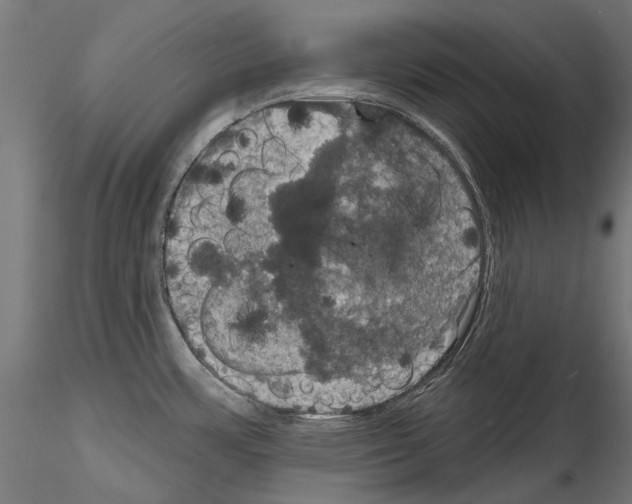 X0000114581483200911301323