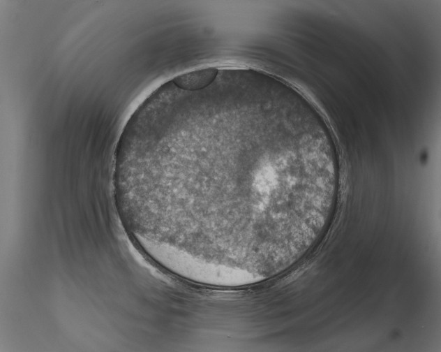 X0000114581484200911301323