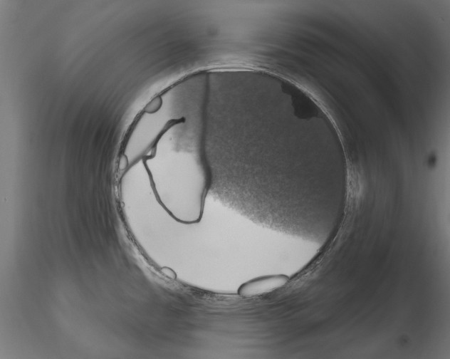 X0000114581485200911301323