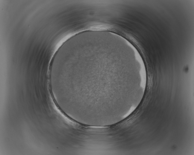 X0000114581487200911301323