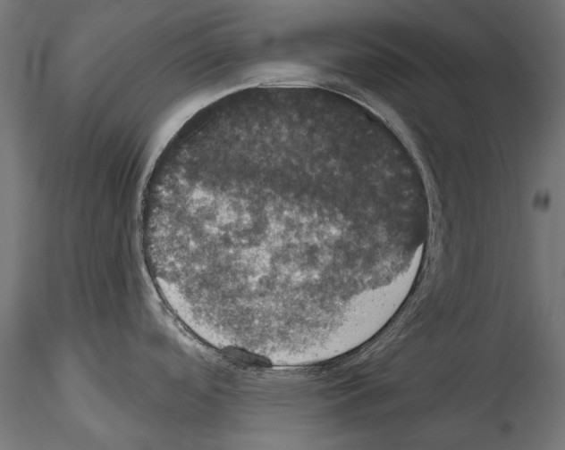 X0000114581488200911301323