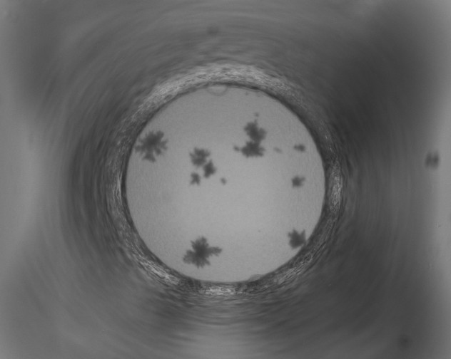 X0000114581489200911301322