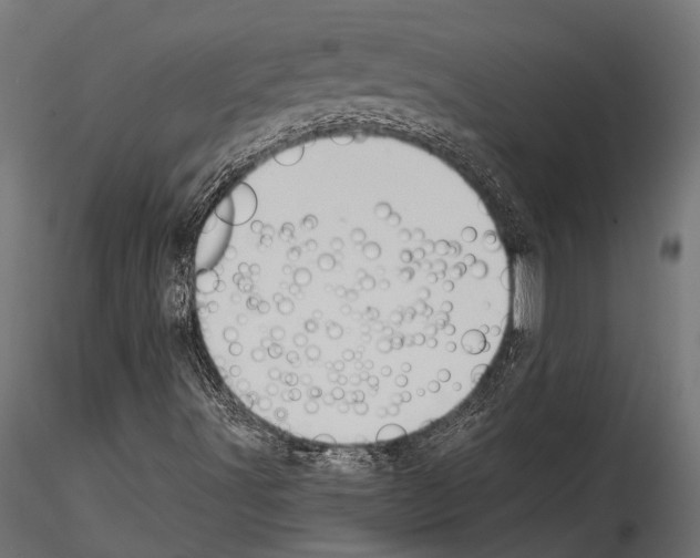 X0000114581491200911301322