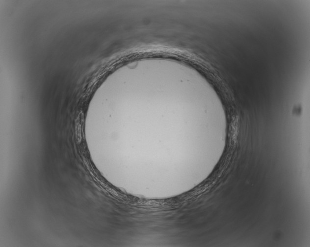 X0000114581493200911301322