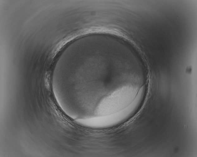 X0000114581497200911301322