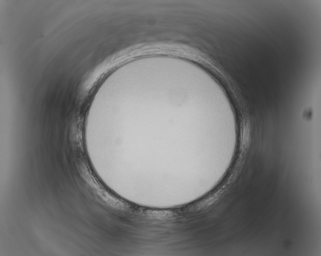 X0000114581498200911301322