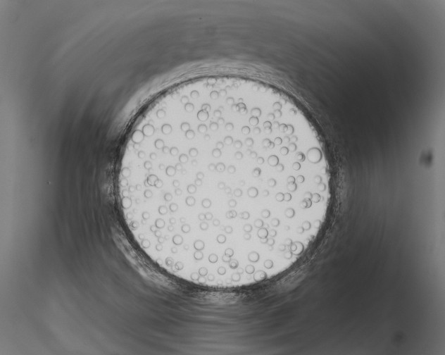 X0000114581499200911301322