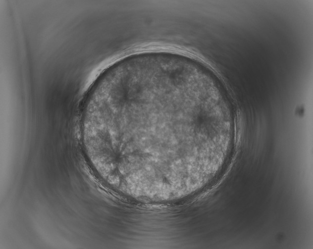 X0000114581501200911301322