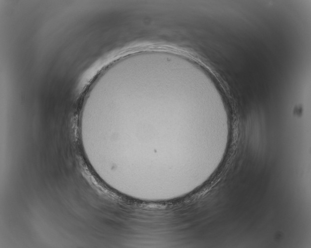 X0000114581503200911301322